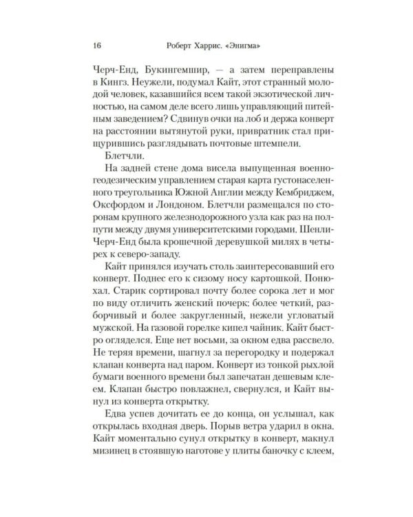 Энигма: роман