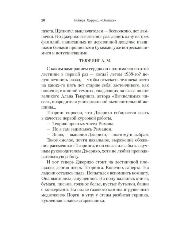 Энигма: роман