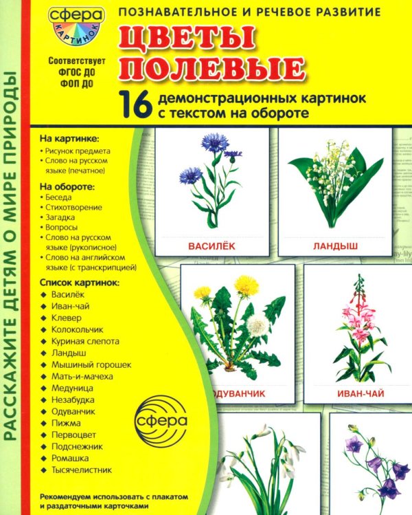 Цветы полевые. 16 демонстрационных картинок с текстом на обороте