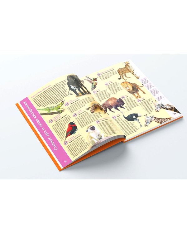 Планета животных. Книга для говорящей ручки "Знаток"