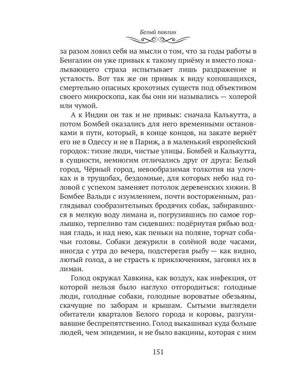 Махатма (вольные фантазии из жизни самого неизвестного человека): роман