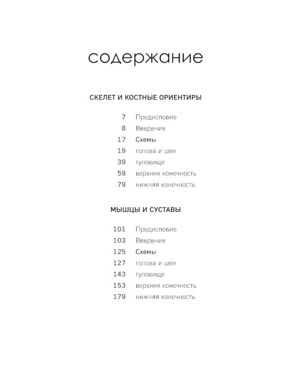 МОРФО. Скелет и мышцы человека: анатомия для художников