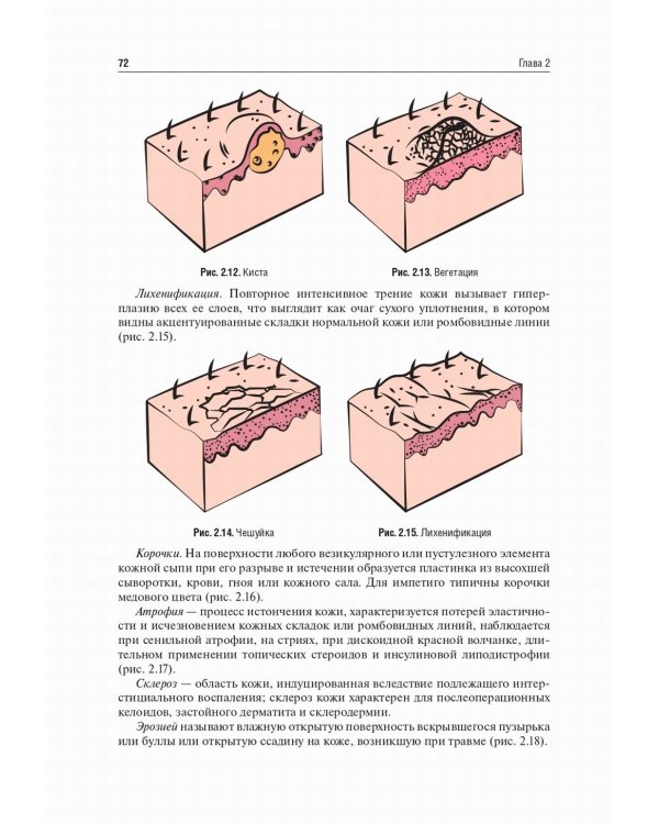 Пропедевтика внутренних болезней: Учебник