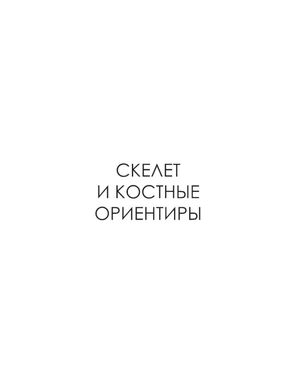МОРФО. Скелет и мышцы человека: анатомия для художников
