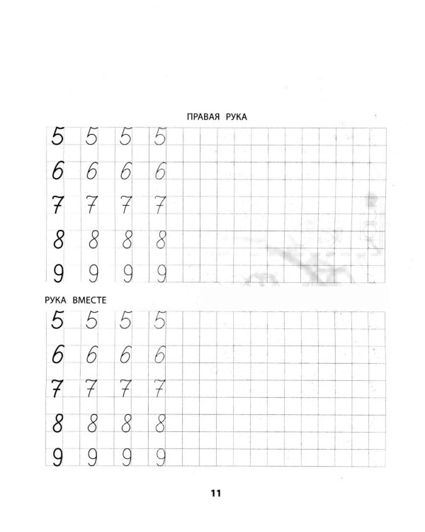 Правая, левая, вместе!: межполушарное взаимодействие: прописи с цифрами