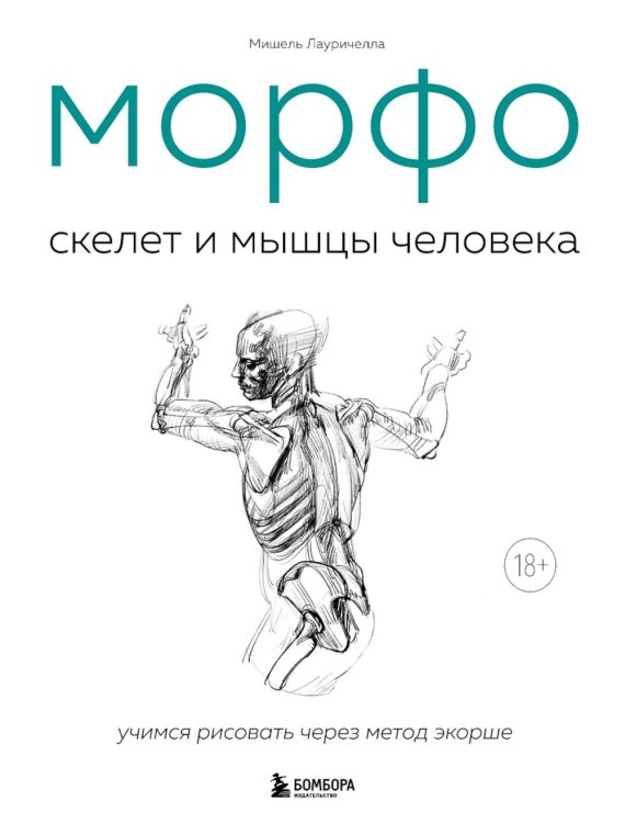МОРФО. Скелет и мышцы человека: анатомия для художников