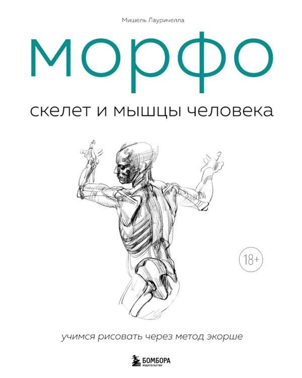 МОРФО. Скелет и мышцы человека: анатомия для художников