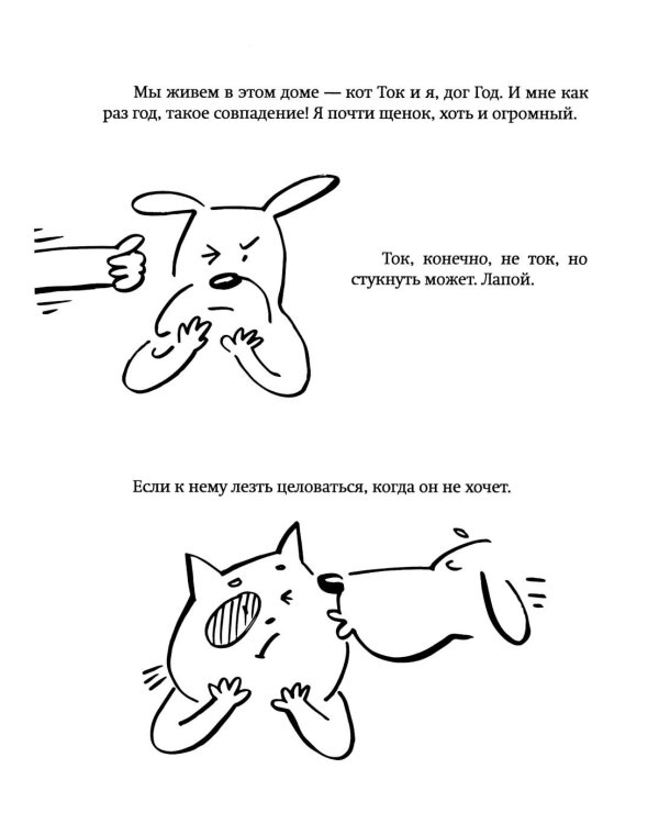 Где кот?!