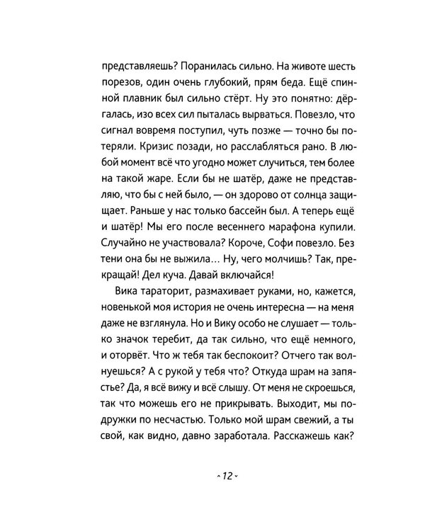 Дополнительное изображение книги «Берег Софи»