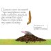 Дополнительное изображение книги «*Маленький крот, который хотел знать, кто наделал ему на голову»