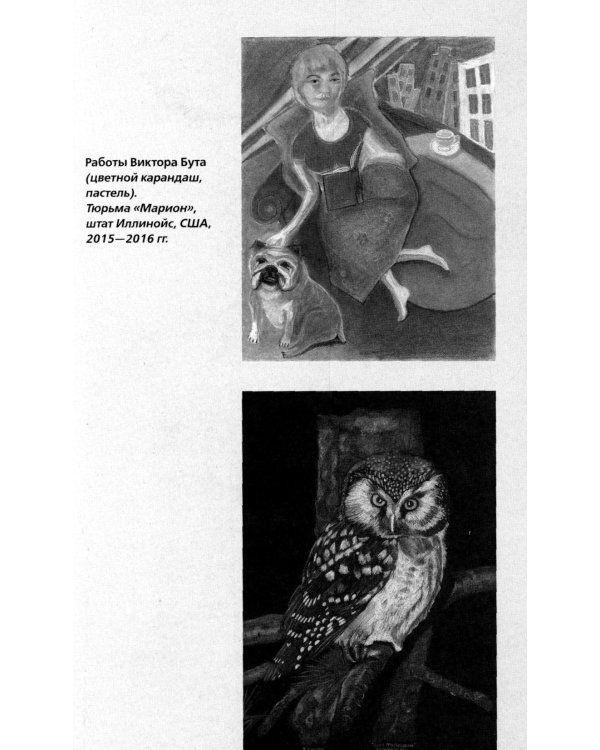 Виктор Бут. Непокоренный