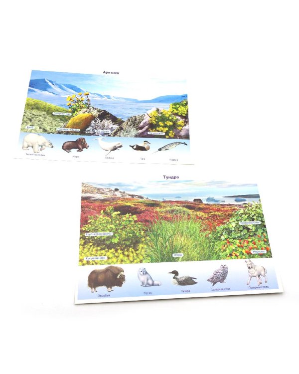 Природа России. 10 демонстрационных картинок А4 с беседами