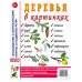 Деревья в картинках. Наглядное пособие для педагогов, логопедов, воспитателей, родителей