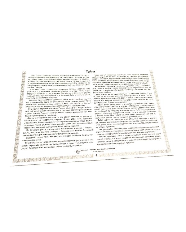 Природа России. 10 демонстрационных картинок А4 с беседами