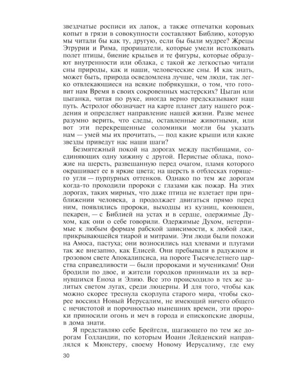 ЖЗЛ. Брейгель, или Мастерская сновидений. 3-е изд