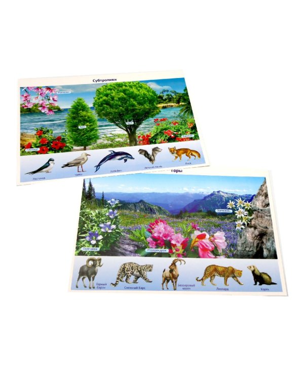 Природа России. 10 демонстрационных картинок А4 с беседами