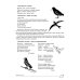 Учим слова и предложения. Речевые игры и упражнения для детей 5-6 лет. В 3 тетрадях. Тетрадь № 3. 2-е изд., испр