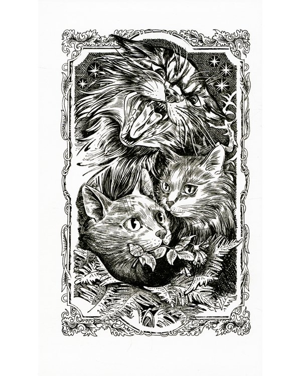 Коты-воители. Нерассказанные истории. Ярость Когтя: сборник