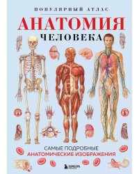 Анатомия человека. Популярный атлас. Самые подробные анатомические изображения