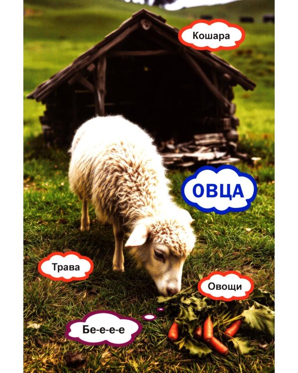 Животные. Кто как говорит? Кто что ест? Кто где живет? Книга для малышей
