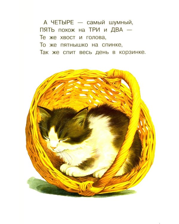Котята
