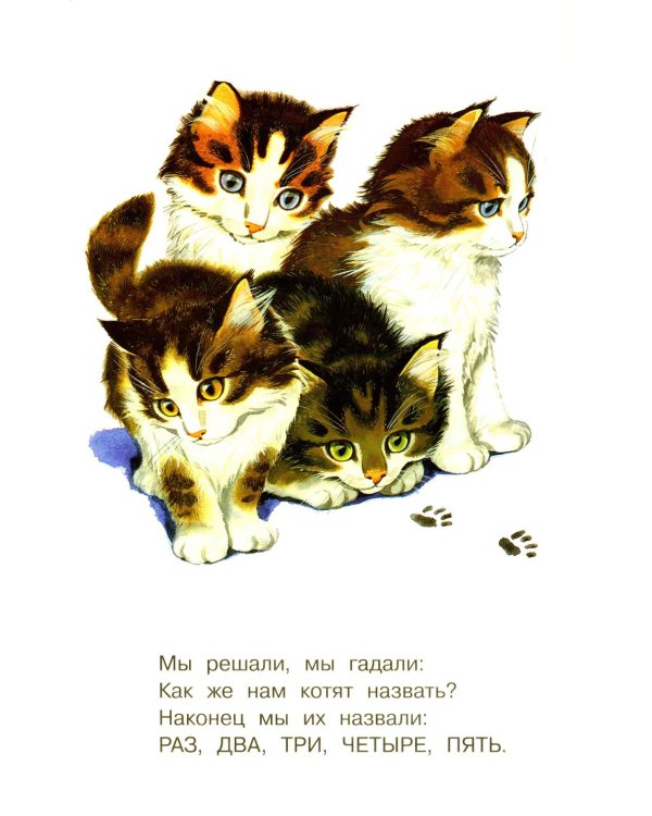 Котята