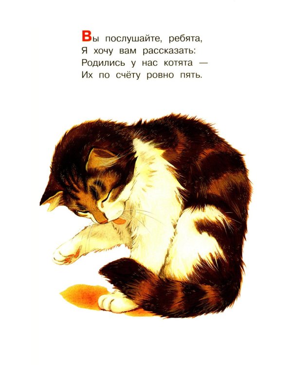 Котята