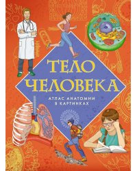 Тело человека. Атлас анатомии в картинках