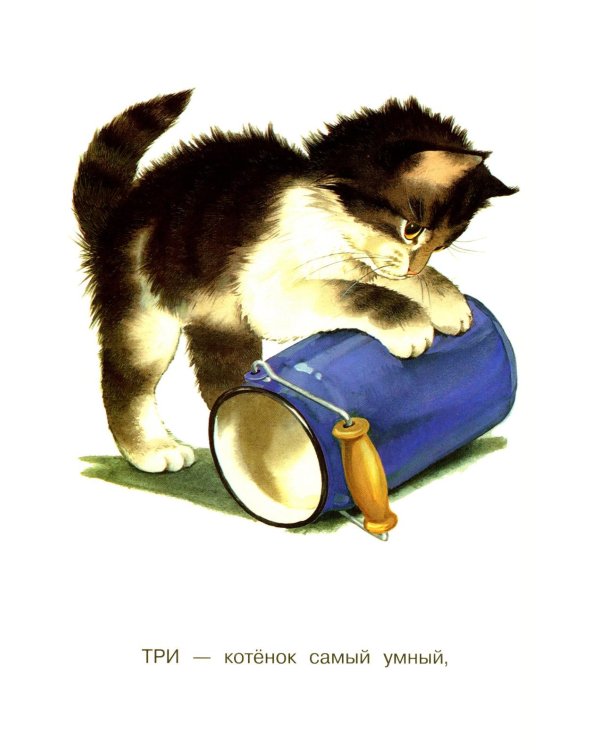 Котята
