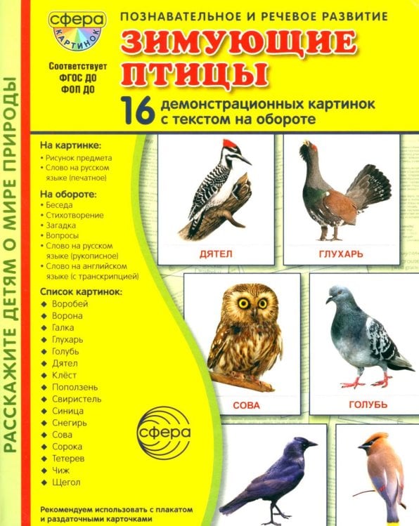 Зимующие птицы. 16 демонстрационных картинок с текстом на обороте