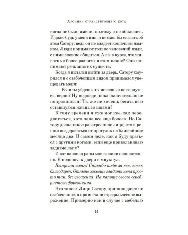 Хроники странствующего кота: роман