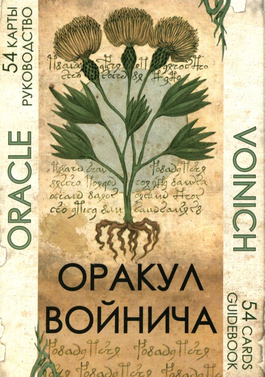 Оракул Войнича = Voinich Oracle. (54 карт + книга руководство. Арт: 41500.) Оракул Войнича = Voinich Oracle. (54 карт + книга руководство. Арт: 41500.)