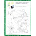 Знакомство с окружающим миром. Для дошкольников 6–7 лет