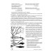Учим слова и предложения. Речевые игры и упражнения  для детей 6-7 лет. В 5 тетрадях. Тетрадь № 4.  2-е изд., испр.и доп