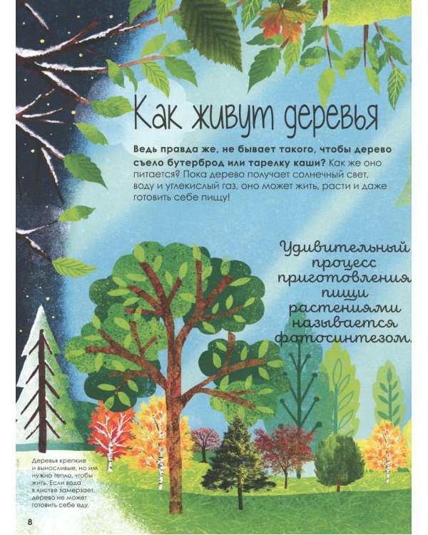 Волшебство и тайна деревьев