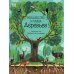 Волшебство и тайна деревьев
