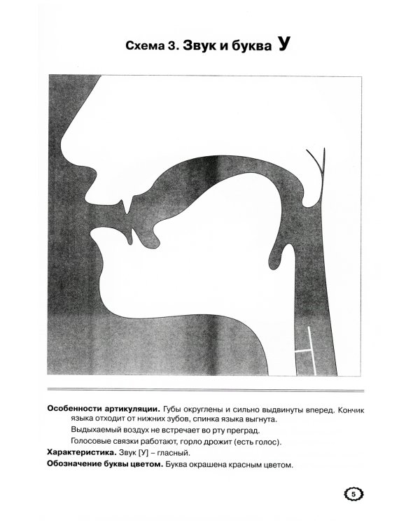 Артикуляция звуков в графическом изображении. Учебно -демонстрационный материал