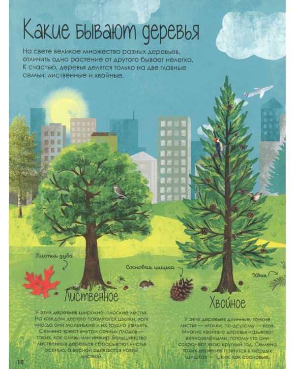 Волшебство и тайна деревьев