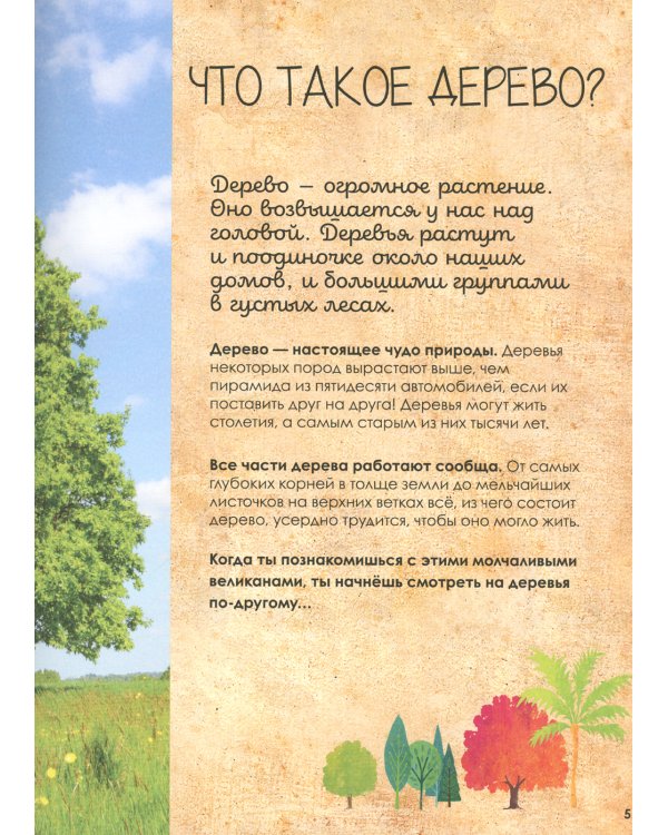 Волшебство и тайна деревьев
