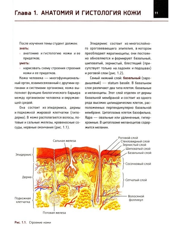Кожные и венерические болезни: Учебник. 2-е изд., доп (обл.)
