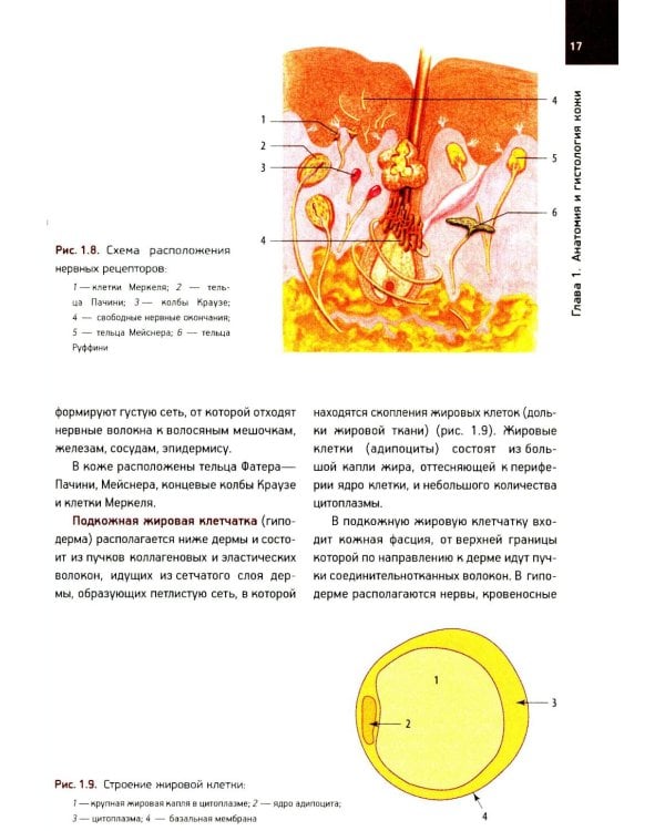 Кожные и венерические болезни: Учебник. 2-е изд., доп (обл.)