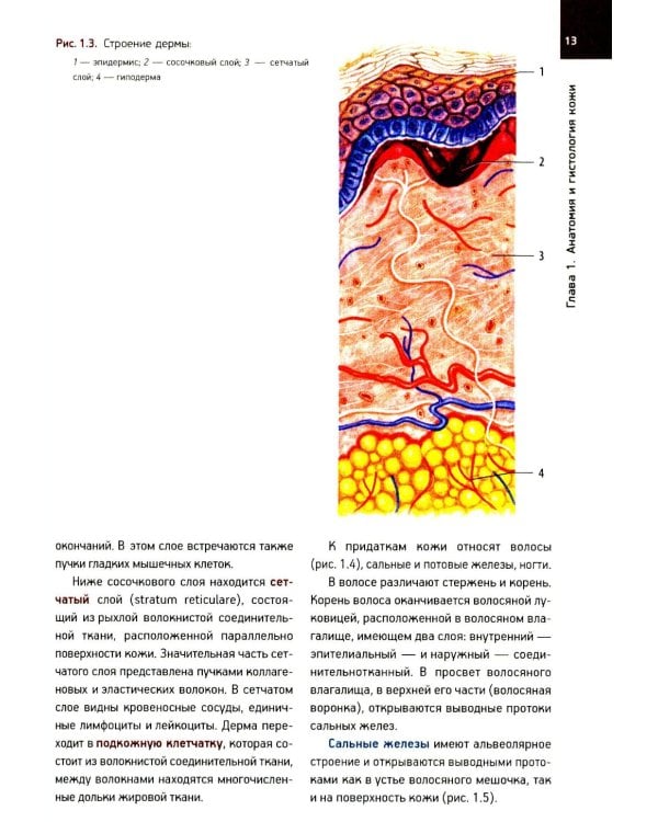 Кожные и венерические болезни: Учебник. 2-е изд., доп (обл.)