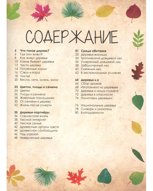 Волшебство и тайна деревьев