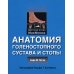Анатомия голеностопного сустава и стопы. Цветной атлас МакМинна (обл.) Анатомия голеностопного сустава и стопы. Цветной атлас МакМинна (обл.)