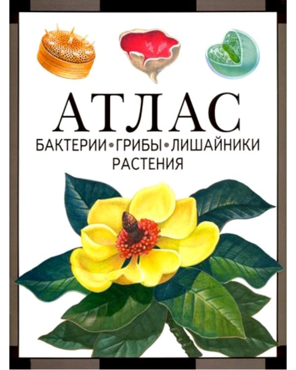 Бактерии, грибы, лишайники, растения: атлас. 4-е изд