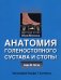 Анатомия голеностопного сустава и стопы. Цветной атлас МакМинна (обл.)