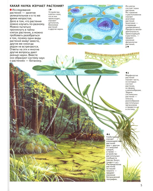 Бактерии, грибы, лишайники, растения: атлас. 4-е изд