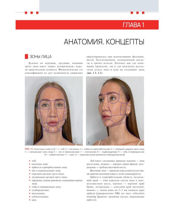 Лицо и шея