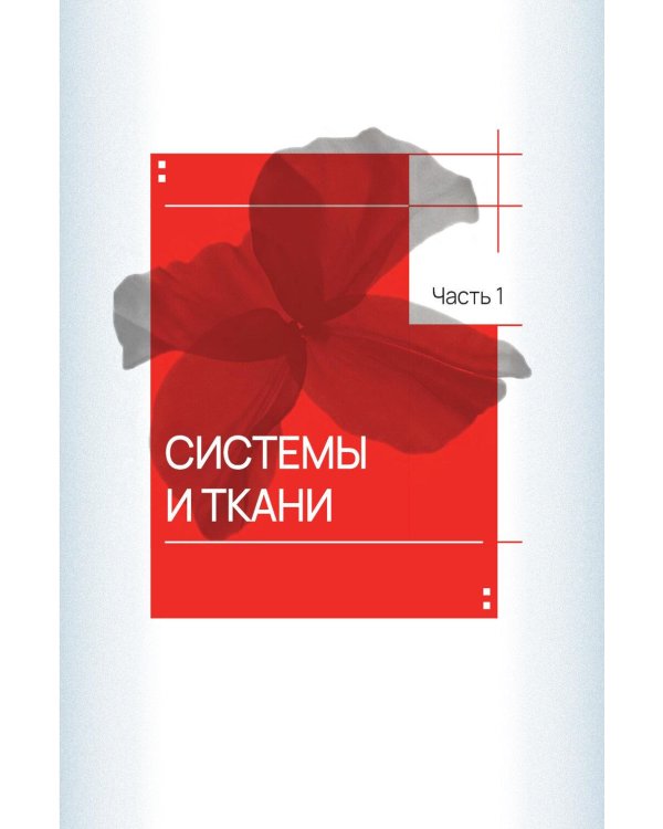 Лицо и шея