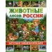 Животные лесов России. Детская энциклопедия Животные лесов России. Детская энциклопедия